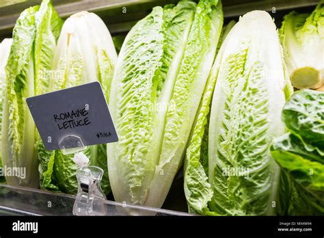 Jun 7, 2022 ... Key points: · The cost of certain fresh produce, like lettuce and tomatoes, has more than doubled in recent weeks. · The industry is warning ...